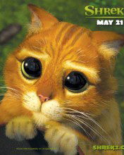 Геннадий Беляй