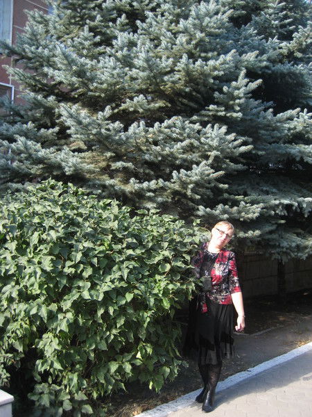 Лариса Уколова (Ахлюстина)