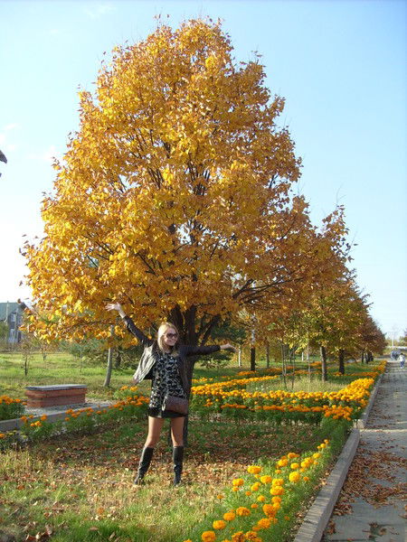 Винник Мария