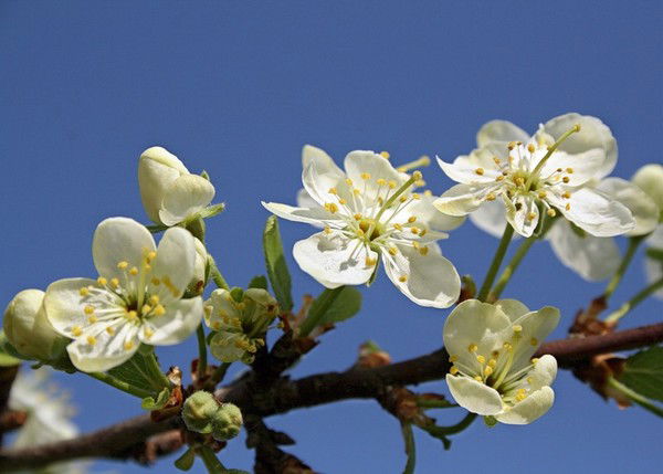 Наталья Потемкина