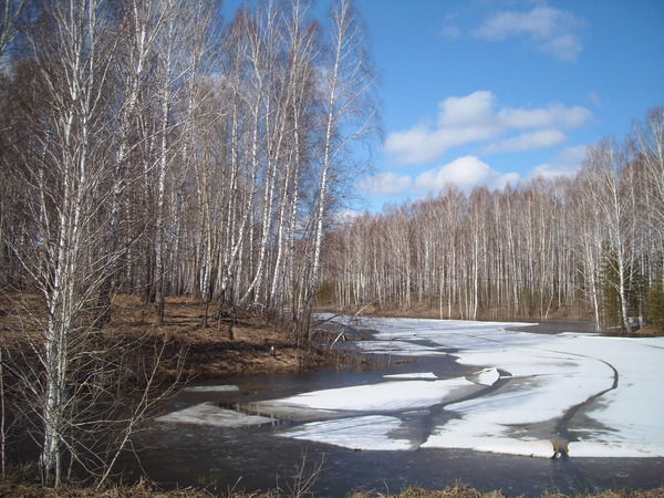 Александра Шарапова