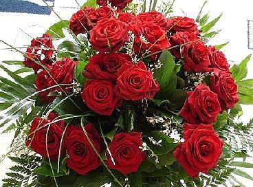 Наталья Дорошенко