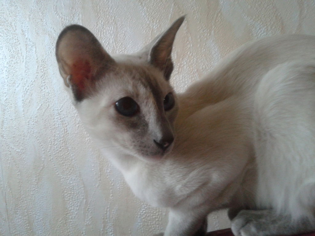 Margarita Garaninova