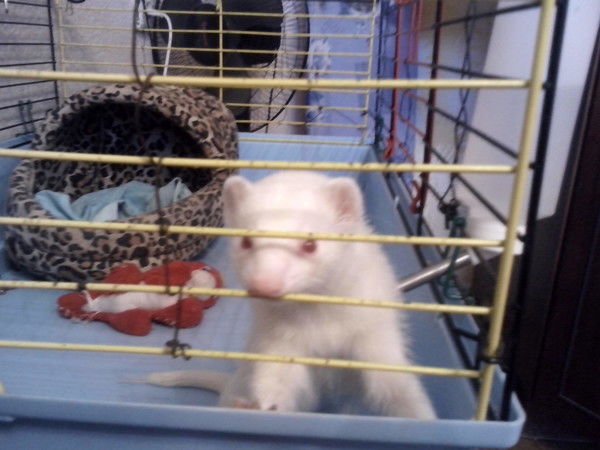 Сергей Николаев