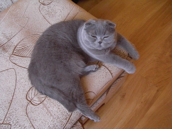 Ольга Якимова