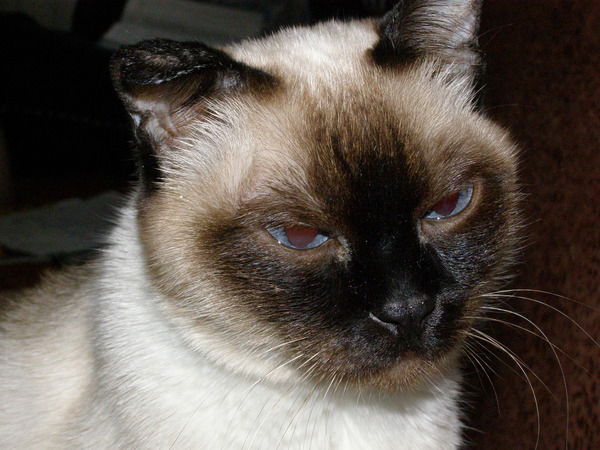 Людмила Охотникова