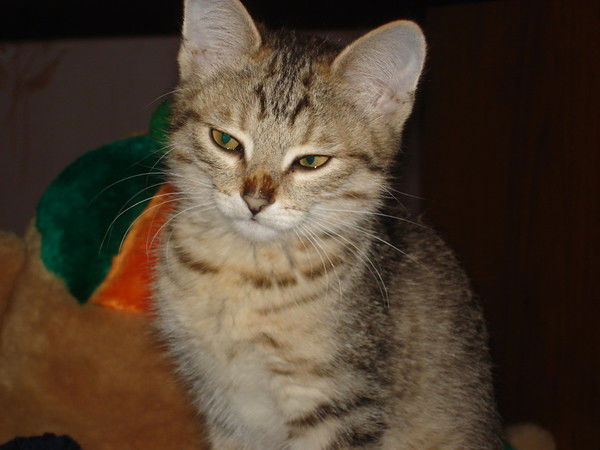 Татьяна Татьяна