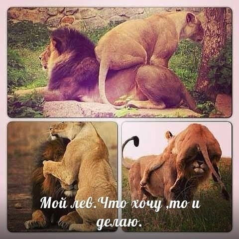 Руслана Дедкова