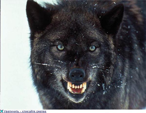 Слава Дементьев