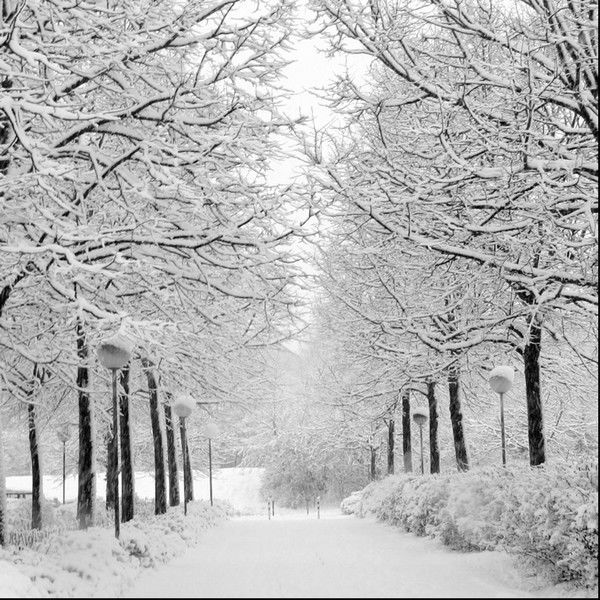 Болат Тастанов