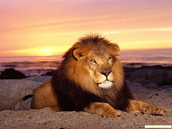 Валерий Николаевич