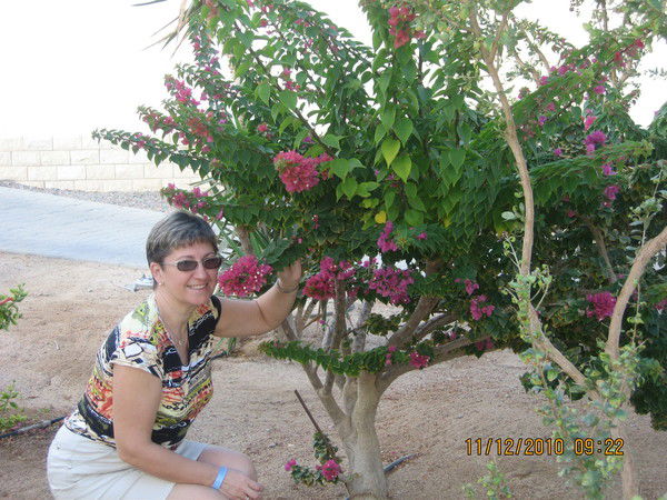 Галина Сергеева