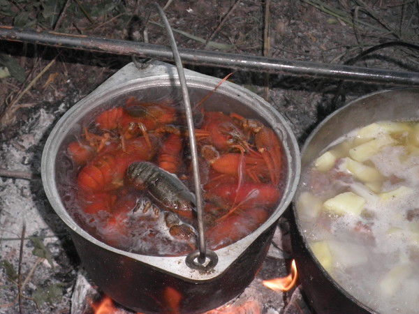 Константин Грачев