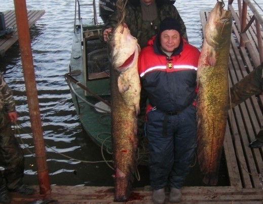 Пеней База Отдыха