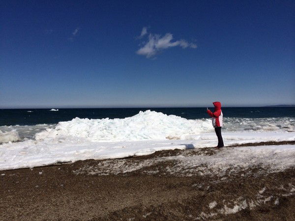 Елена Истомина