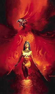 София Котляр