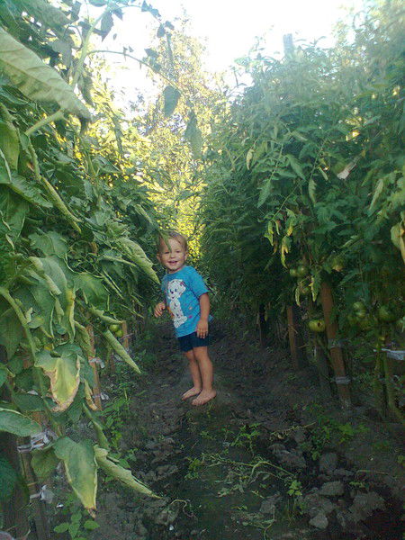 Наталья Коробейникова