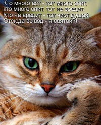 Александр Коротов