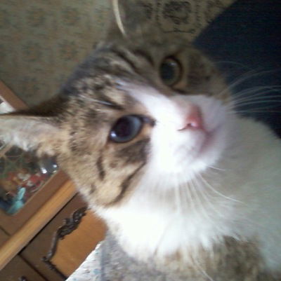 Анна Ушакова