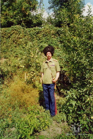 Андрей Дмитров