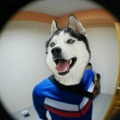 Илья Потапов