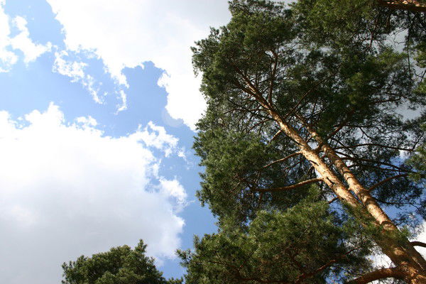 Илья Михайлов