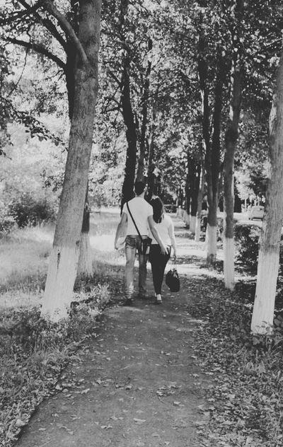 Андрей Терехов