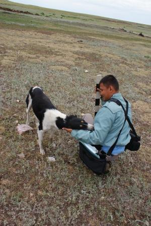 Максут Бектасов