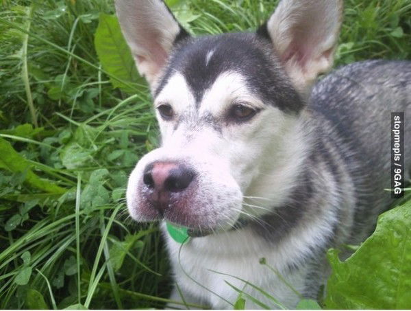 Павел Тимошин