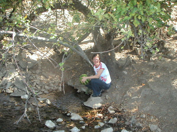 Анна Курляндская