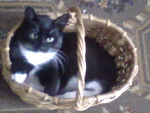 Ирина Пряжина