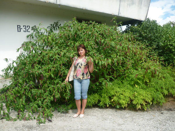 Анна Шубина