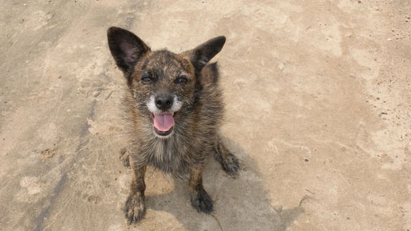 Владимир Шептикин