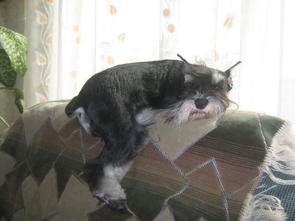 Оксана Олюнина