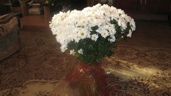 Александр Кучеров