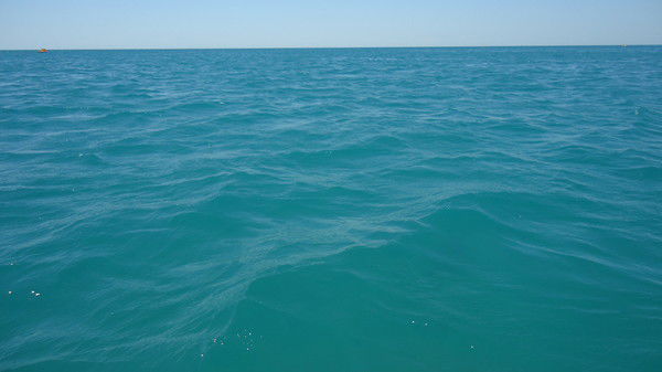 Руслан Фасхутдинов