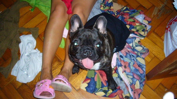 Катерина Евсиович