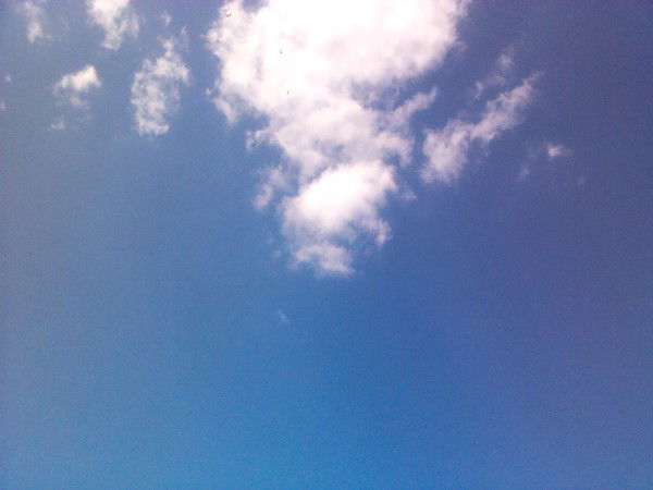 Оксана Маклай