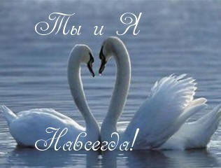 Вера,надежда,любовь *******