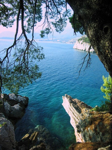 Ольга Бочарова