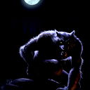 D Nightwolf