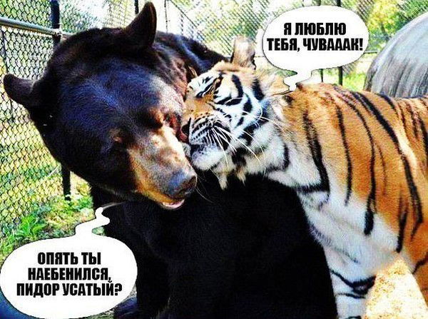 Валерий Хостин