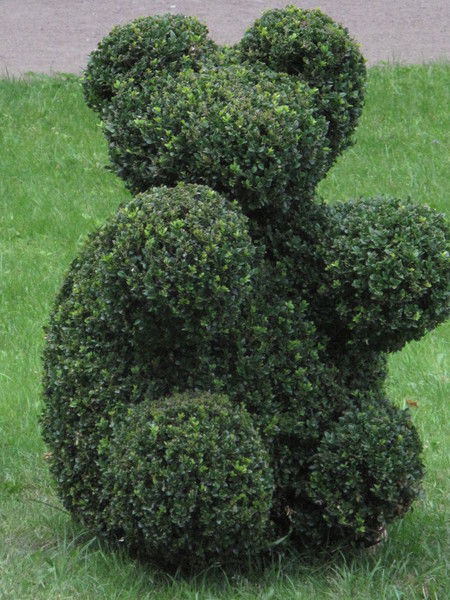 Александр Милых