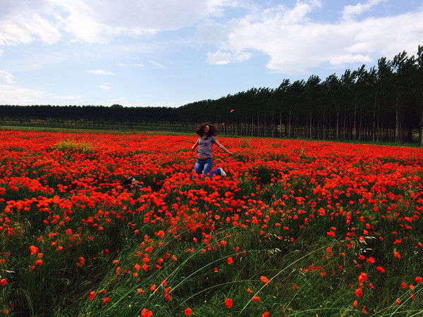 Диана Краснощёк