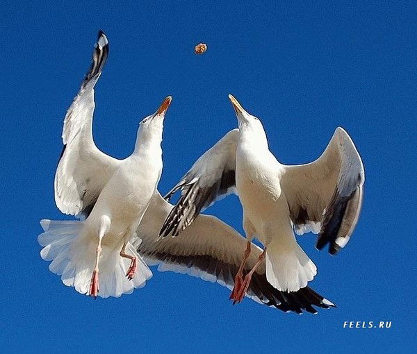 Айгуль Абильмажинова