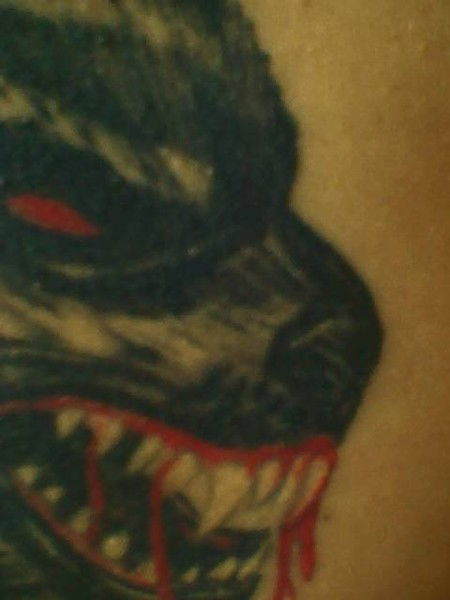 Aleksej Bachaev Вольтури