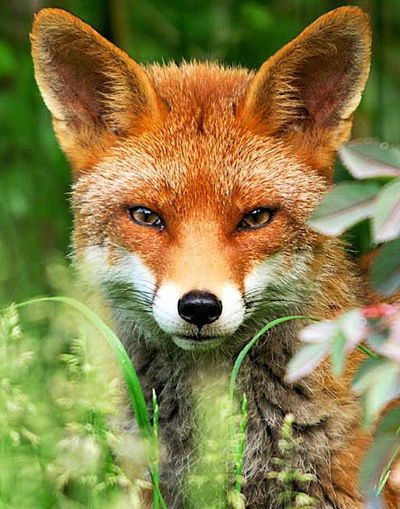 Надежда Караваева