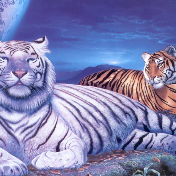 Мега Иманбаев