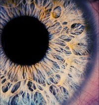 Олег Іванів