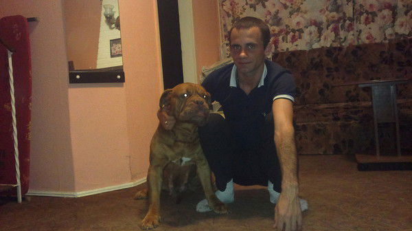 Дима Зводов